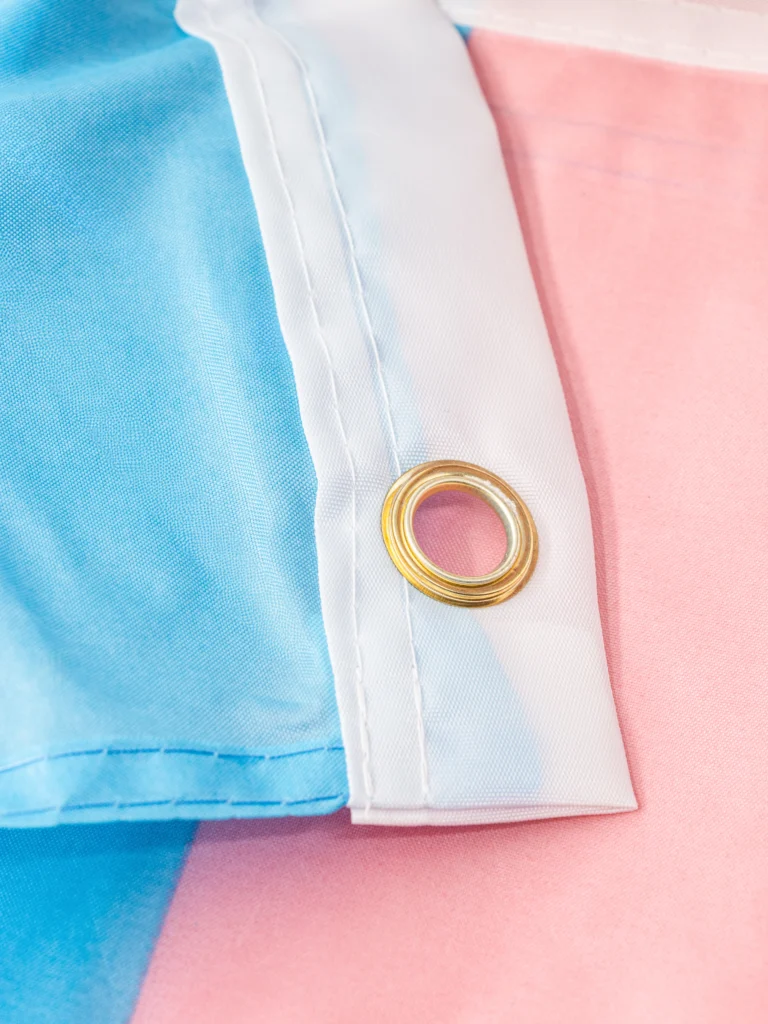 Drapeau-transgenre-90x150