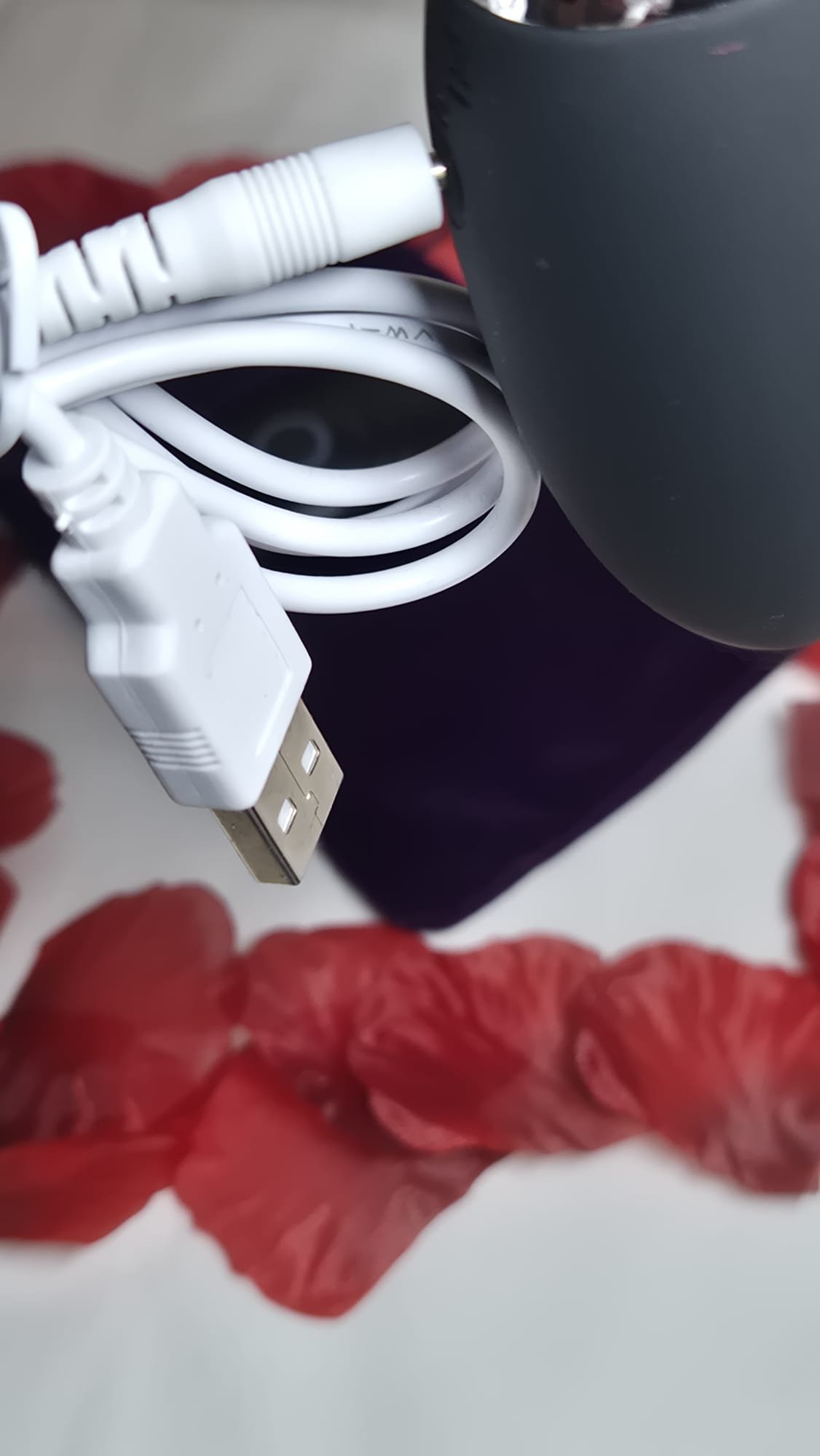 Oeuf Vibrant – Image 5